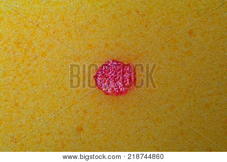 sponge bath macro shooting bubbles texture with water drops dishwashing detergent