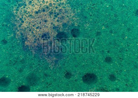 sponge bath macro shooting bubbles texture with water drops dishwashing detergent