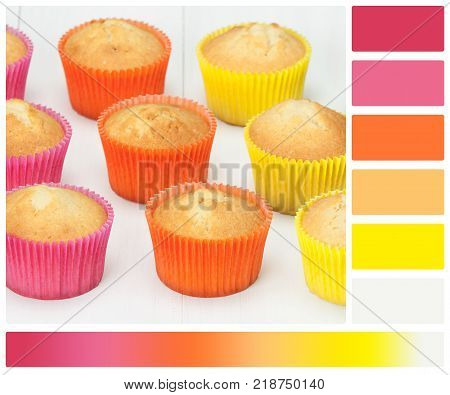 Homemade Colorful Plain Cupcakes On White Table. Palette With Complimentary Colour Swatches