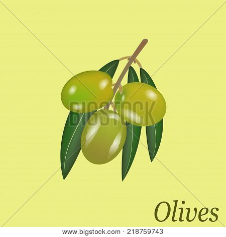 branch with olives on olive background with inscription