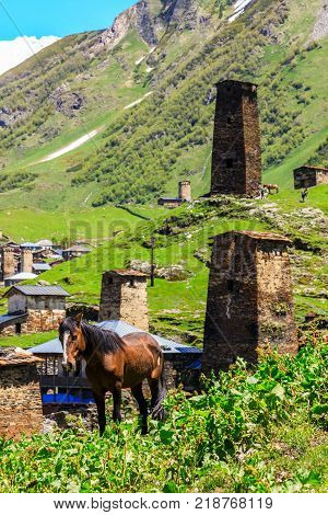 The Horse and the Ushguli village at the foot of Mt. Shkhara. Picturesque and gorgeous scene. Rock tower in Ushguli - the highest inhabited village in Europe