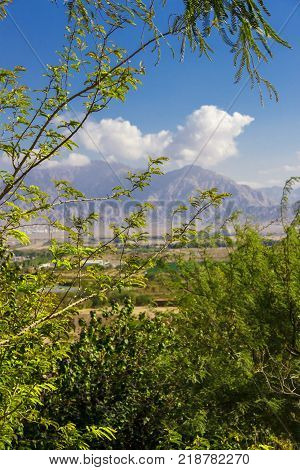 You can see here the wondreful view on the Red Sea Mountains through the green leafy trees