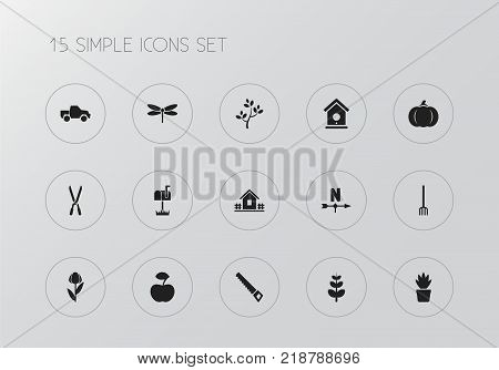 Set of 15 editable planting icons. Includes symbols such as daphne, hacksaw, pumpkin and more. Can be used for web, mobile, UI and infographic design.