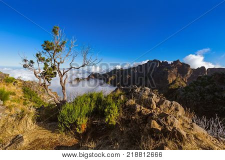 Hiking Pico Ruivo and Pico do Arierio - Madeira Portugal - travel background