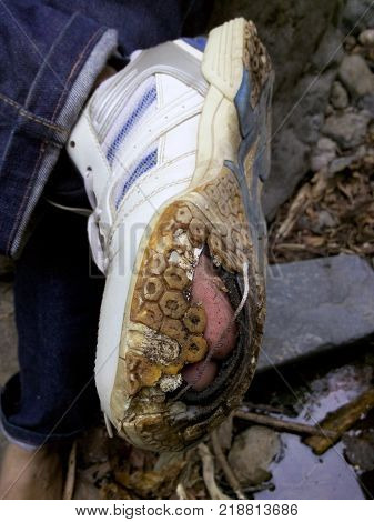 close up white shoes broken when walking the forest at the foot of the mountain