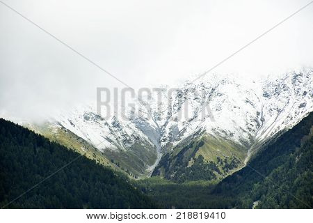 Alpine tree forest on the mountain with Alps highest and most extensive mountain range in otztal alps mountain in Schnals city in Bolzano Austria