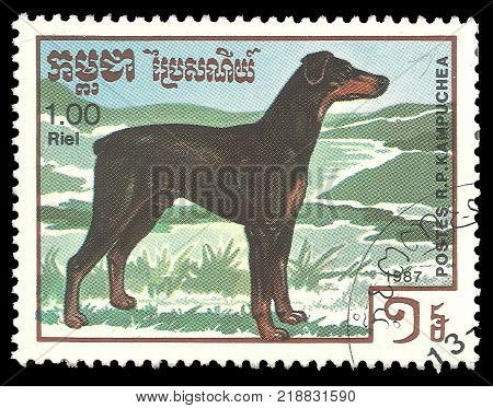 Cambodia - stamp printed in1987 Series Fauna Animals Dog breeds Dobermann Pinscher