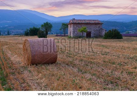 Hay bale at sunrise the Provence region in France