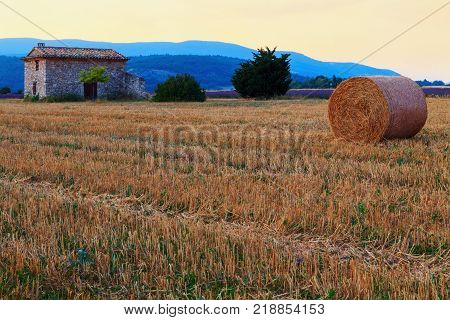 Hay bale at sunrise the Provence region in France