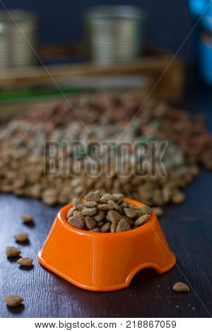 Dry cat or dog food in a orange bowl