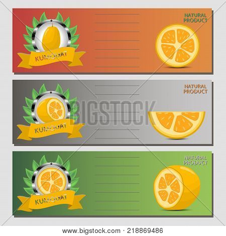 Abstract vector icon illustration logo for citrus fruit kumquat slice half pear. Kumquat pattern consisting of card label natural citruses food. Eat sweet pears Citrus fruits kumquats on health.