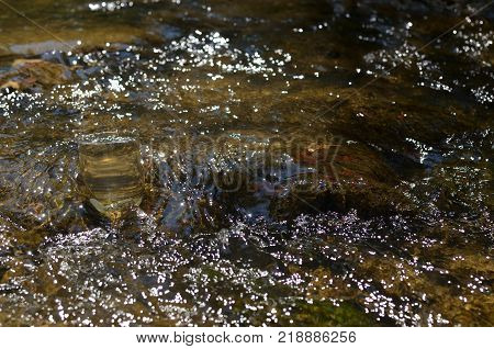 Glass Of Water