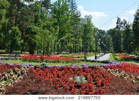 Public Park In Summer