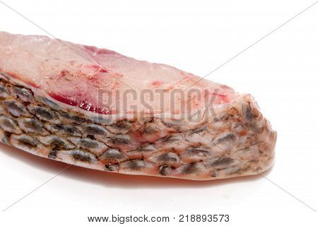 close up Nile tiapia meat cut in pieces