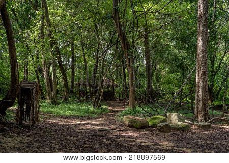 Typical house of vedda people living in Sri Lanka