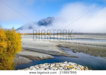 Yellow forest and river in New Zealand Alps