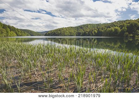 Beautiful Nature At  