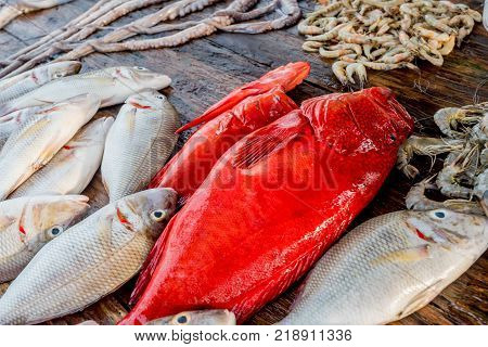 Fresh raw sea fish and sea food market in Asia near fishermen village
