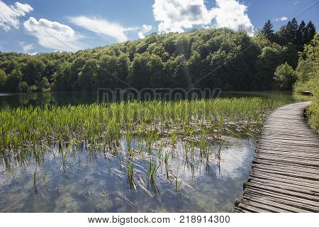 Landscape With Wooden Track Over The Water At  