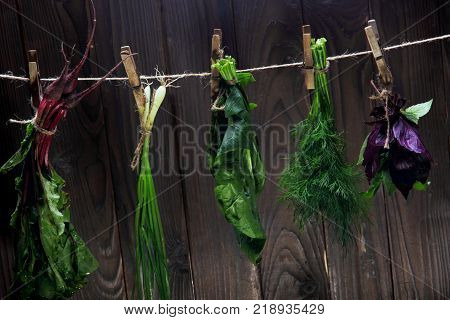 Bunches of fresh herbs spinach, betroots, dill, parsley, spinach, basil, green onion hanging on the string.Wooden background. Concept season herbs