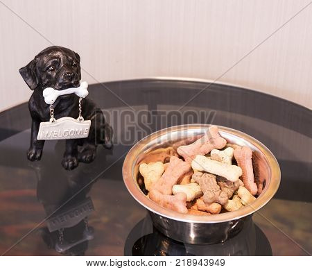 A bowl of dog buscuits are left out on a table for hotel guests to give to their dog/