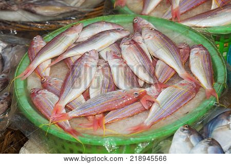 Fresh fish silver red snapper sardine sale during a weekend wet market. Seafood market. Fishmarket, China.