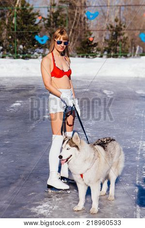 Novokuznetsk, Kemerovo region, Russia - 23 Feb, 2017 : White beaches of Siberia is an enterteiment activity where people playing beach games dressed in bikini in winter. Women in bikini with husky