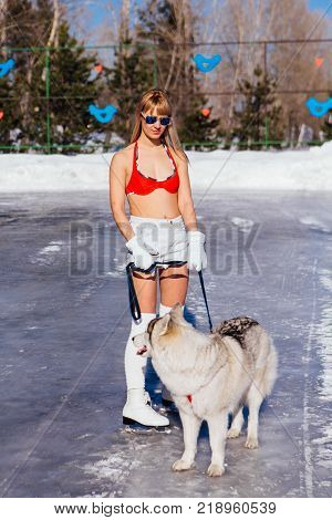 Novokuznetsk, Kemerovo region, Russia - 23 Feb, 2017 : White beaches of Siberia is an enterteiment activity where people playing beach games dressed in bikini in winter. Women in bikini with husky