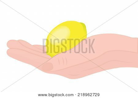 Lemon isolated on a white background vector illustration