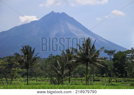 Merapi Volcano Landscape, Java, Indonesia. View Of Merapi Volcano