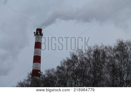 high striped pipe of the plan with clouds of smoke under bare birch grove in cold winter day