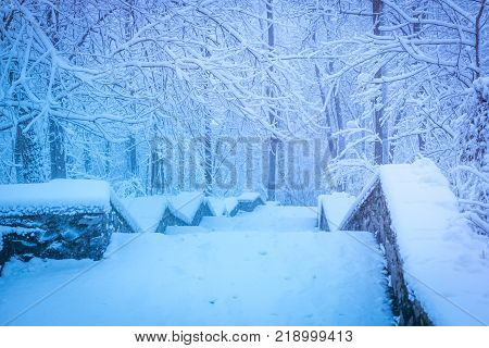 Scenic winter road through forest covered in snow after snowfall