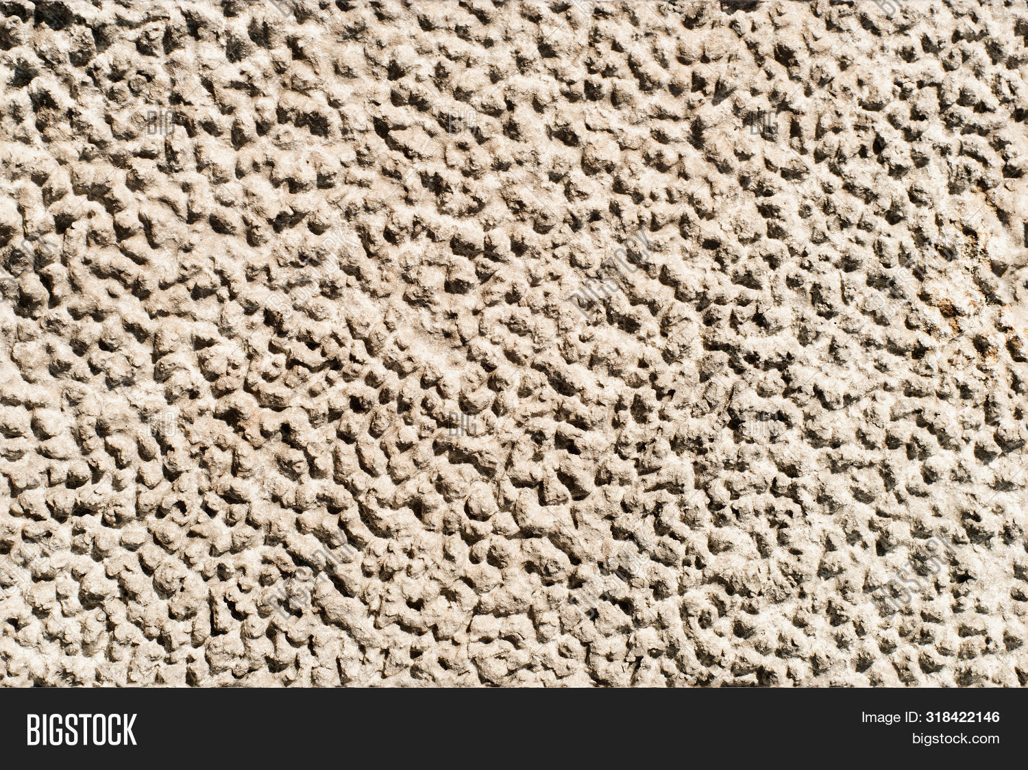 Seamless Texture - Image & Photo (Free Trial) | Bigstock