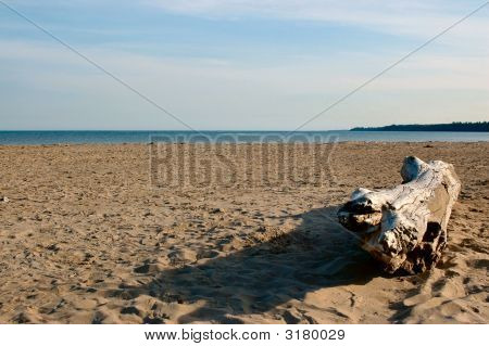 Driftwood Sandy Beach