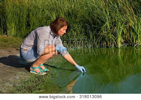 Ecologist Takes Samples Of River Water With Green Algae For Laboratory Testing