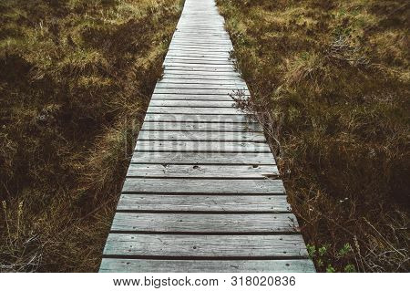 Weathered Wooden Walkpath With Green Grass In Forest. Empty Wooden Road In Perspective. Rural Old Pa
