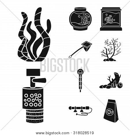Isolated Object Of Decorative And Interior Sign. Set Of Decorative And Aqua Vector Icon For Stock.