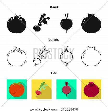 Isolated Object Of Fresh And Red Logo. Set Of Fresh And Organic Vector Icon For Stock.