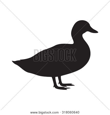 Duck graphic icon. Duck black silhouette isolated on white background. Vector illustration