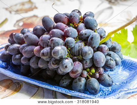 Bunch Of Ripe Blue-black Table Grapes With Leaf Served On Blue Plate As Sweet Fruit Dessert