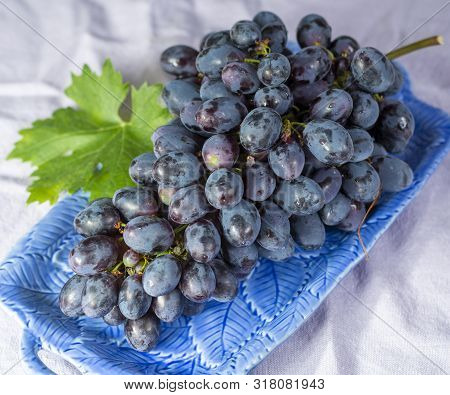 Bunch Of Ripe Blue-black Table Grapes With Leaf Served On Blue Plate As Sweet Fruit Dessert
