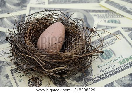 A Bird Nest And Egg Overtop Of An Abundance Of Cash For A Variety Of Financial Concepts.