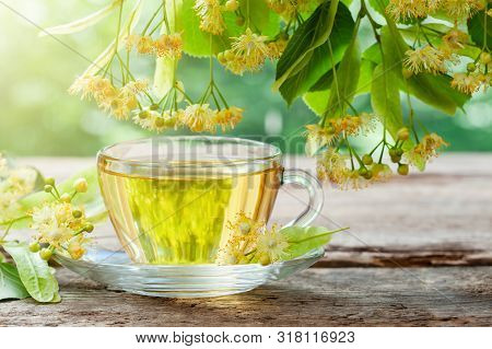 Glass Cup Of Healthy Tea With Linden Tree Flowers On Wooden Board, Lime Tree Flowers. Herbal Medicin