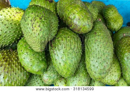 Annona Muricata Soursop Fruit For Sale In Philippines Market