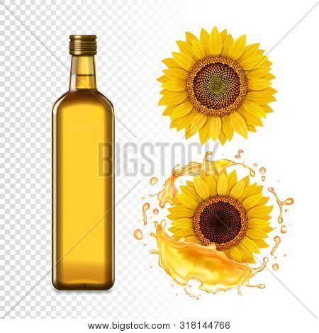 Sunflower Oil Bottle And Realistic Sunflower In Oil Splash