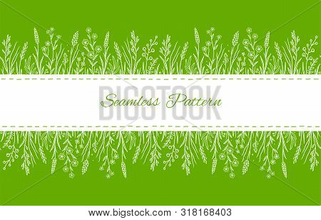 Hand Drawn Pattern With Wild Herbs And Fflowers