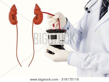 Doctor Cure Kidney Disease And High Blood Pressure