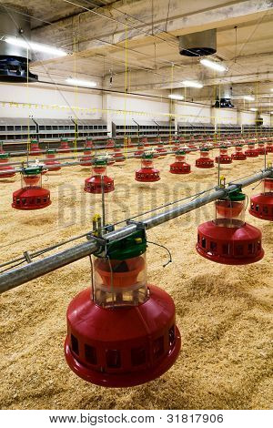 A moderno e novo automatizado integrado Granja
