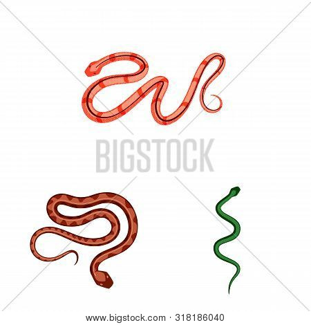 Vector Illustration Of Poison And Evil Icon. Set Of Poison And Bite Vector Icon For Stock.