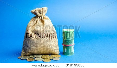Money Bag With The Inscription Earnings And Euro Bills. Net Benefits Of A Corporation's Operating. P